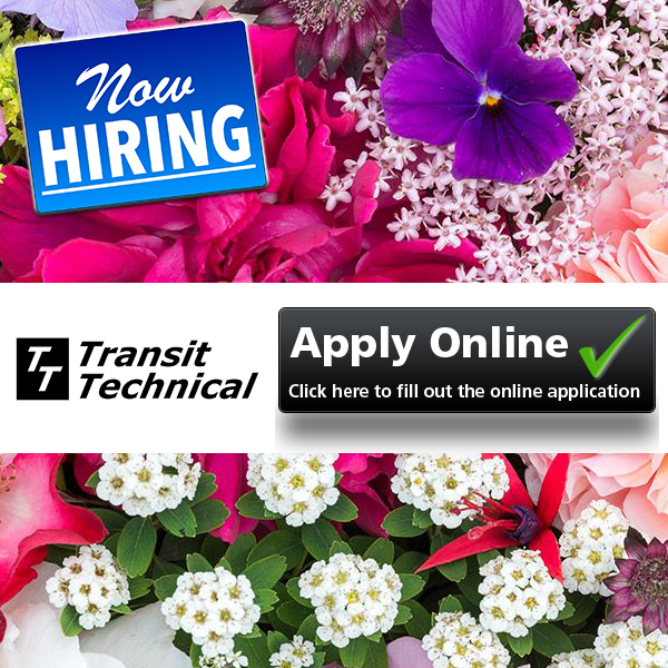 Transit Technical hiring