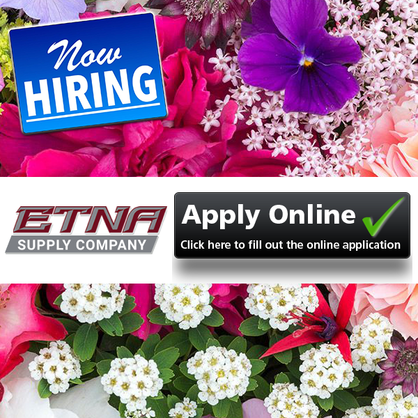 Etna Supply hiring